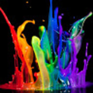 Meet your Posher, Alisha